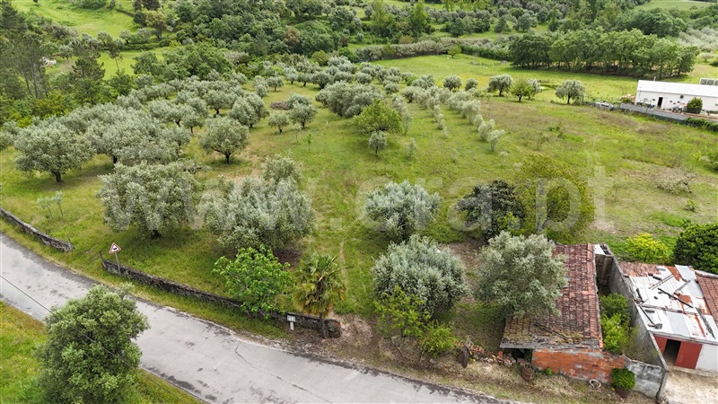 Moradia  Pombal, Vila Cã - 1480671 - 5
