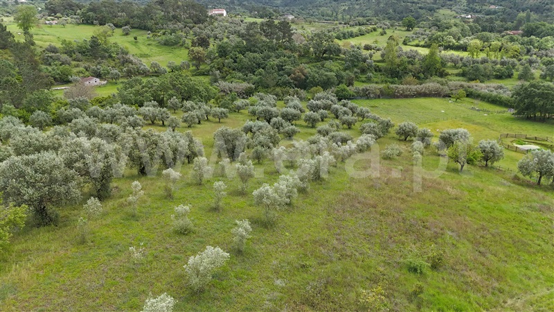 Moradia  Pombal, Vila Cã - 1480671 - 6