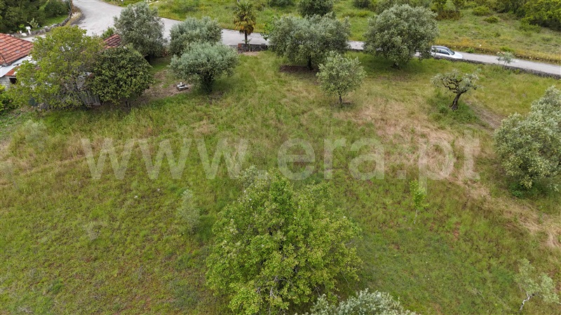 Moradia  Pombal, Vila Cã - 1480671 - 7
