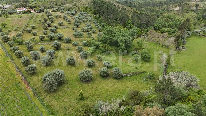 Moradia  Pombal, Vila Cã - 1480671 - 8