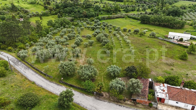 Moradia  Pombal, Vila Cã - 1480671 - 9