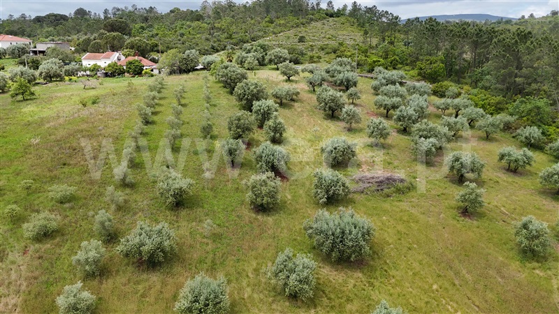 Moradia  Pombal, Vila Cã - 1480671 - 10