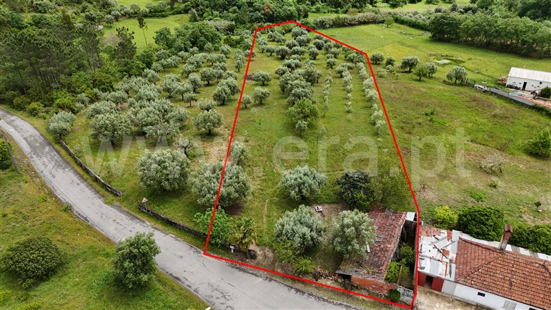 Moradia  Pombal, Vila Cã - 1480671 - 11