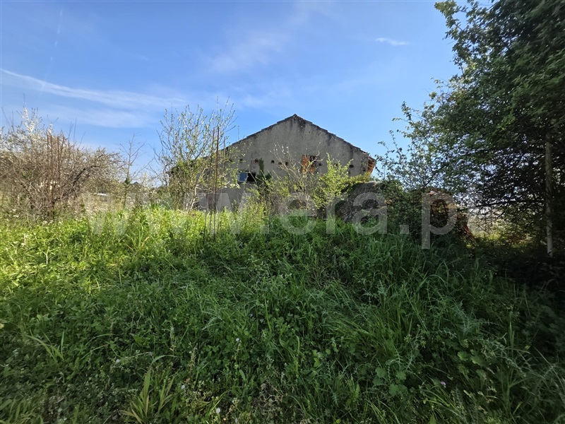 Terreno com ruina T3 / Tábua, Midões