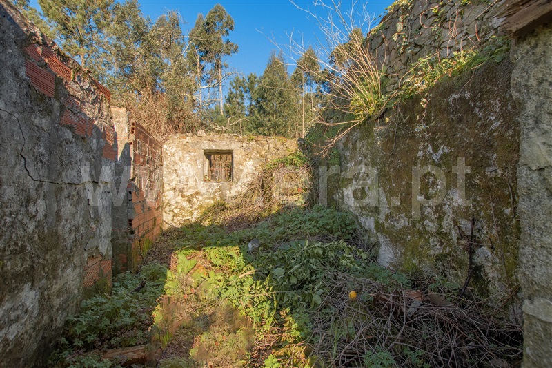Terreno com ruina  Vila Nova de Cerveira, Gondarém - 1304179 - 5