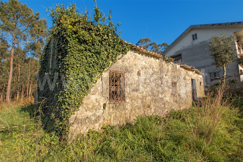 Terreno com ruina  Vila Nova de Cerveira, Gondarém - 1304179 - 6
