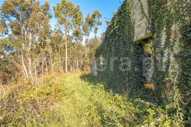 Terreno com ruina  Vila Nova de Cerveira, Gondarém - 1304179 - 17