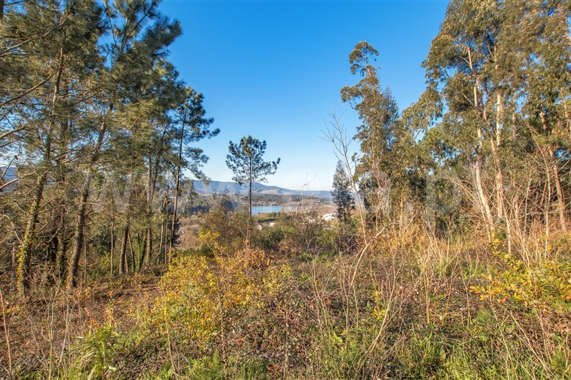 Terreno com ruina  Vila Nova de Cerveira, Gondarém - 1304179 - 18