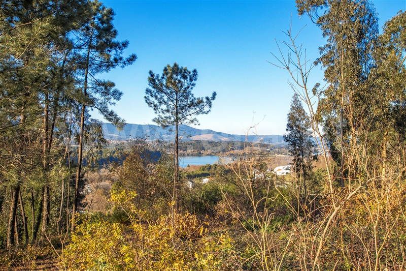 Terreno com ruina  Vila Nova de Cerveira, Gondarém - 1304179 - 19