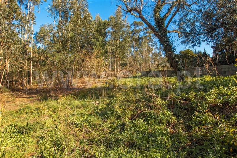 Terreno com ruina  Vila Nova de Cerveira, Gondarém - 1304179 - 22