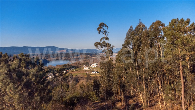 Terreno com ruina  Vila Nova de Cerveira, Gondarém - 1304179 - 25