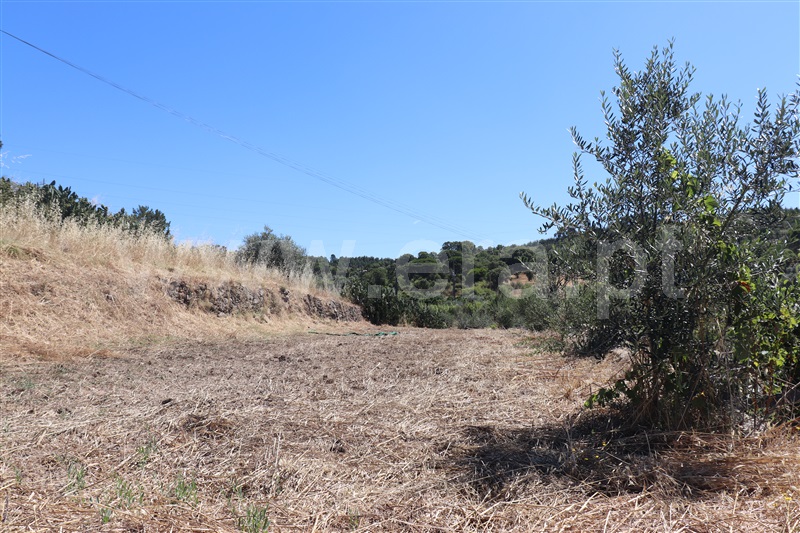 Terreno com ruina T4 Abrantes, Martinchel - 1183272 - 12
