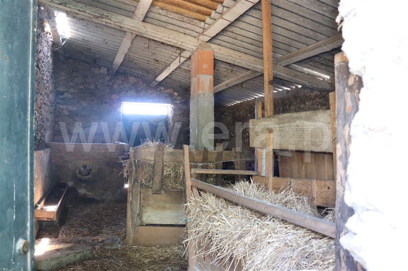 Terreno com ruina T4 Abrantes, Martinchel - 1183272 - 9