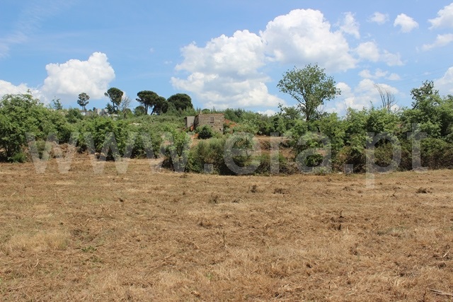 Terreno com ruina  Tábua, Covas e Vila Nova de Oliveirinha - 1492192 - 4