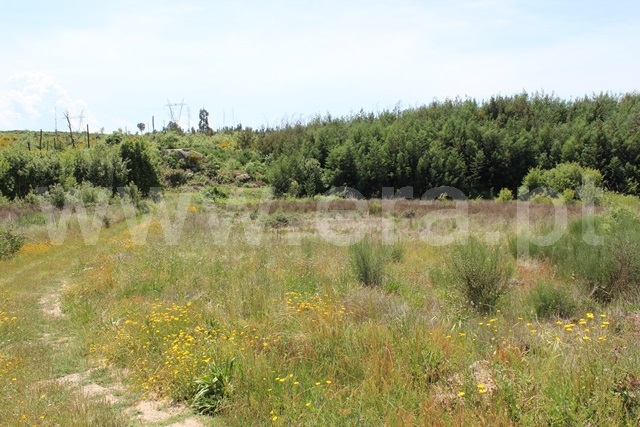 Terreno com ruina  Tábua, Covas e Vila Nova de Oliveirinha - 1492192 - 5