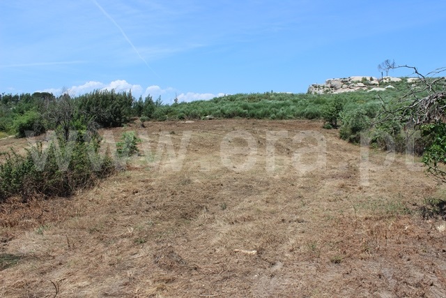 Terreno com ruina  Tábua, Covas e Vila Nova de Oliveirinha - 1492192 - 6
