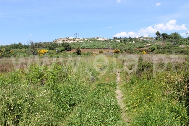 Terreno com ruina  Tábua, Covas e Vila Nova de Oliveirinha - 1492192 - 7