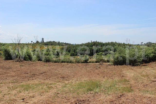 Terreno com ruina  Tábua, Covas e Vila Nova de Oliveirinha - 1492192 - 9