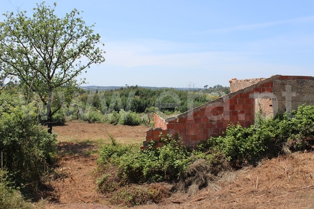 Terreno com ruina  Tábua, Covas e Vila Nova de Oliveirinha - 1492192 - 10