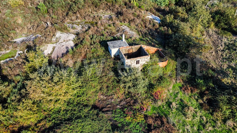 Terreno com ruina / Tábua, Vila Nova de Oliveirinha