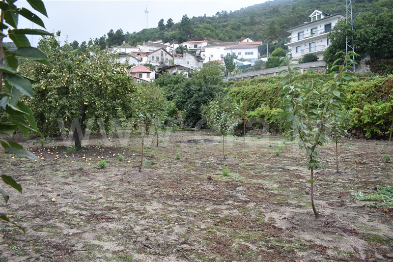 Terreno com ruina  Tabuaço, Paradela e Granjinha - 1203669 - 2