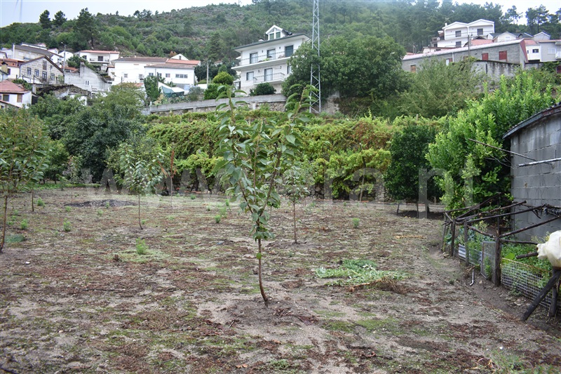 Terreno com ruina  Tabuaço, Paradela e Granjinha - 1203669 - 3