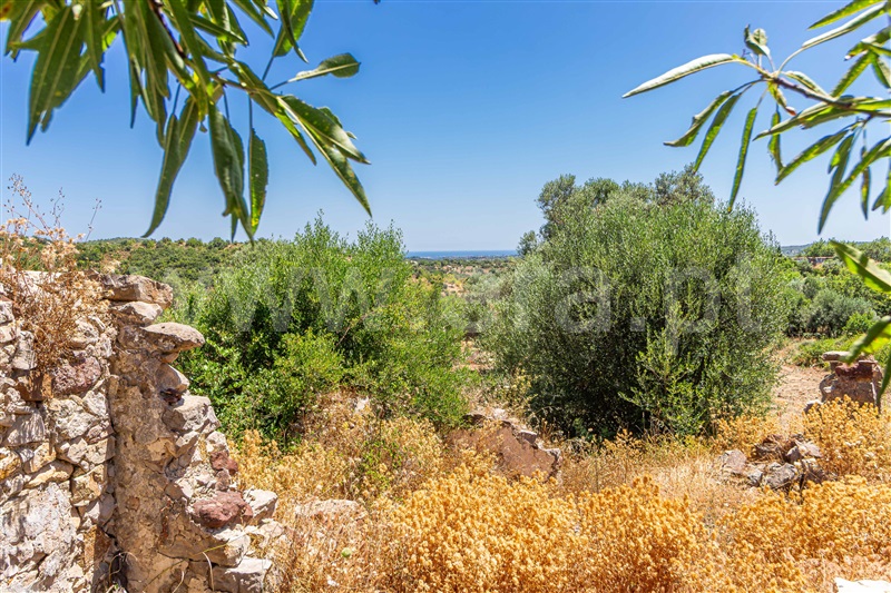Terreno com ruina / Tavira, Alcarias
