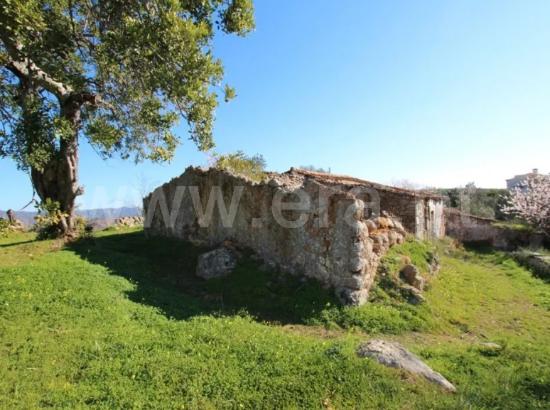 Terreno com ruina / Tavira, Santa Catarina da Fonte do Bispo