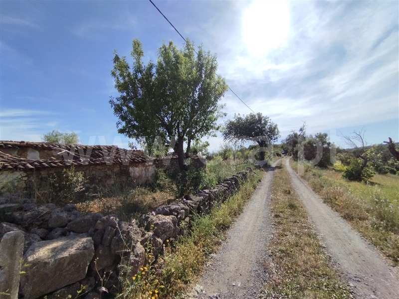 Terreno com ruina  Tavira, Santa Catarina da Fonte do Bispo - 1404666 - 18