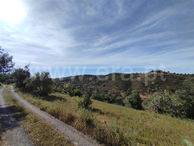 Terreno com ruina  Tavira, Santa Catarina da Fonte do Bispo - 1404666 - 24