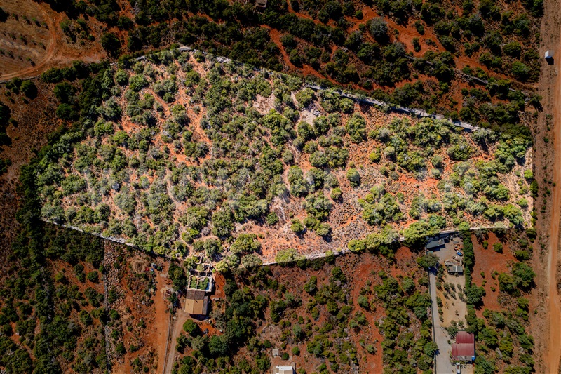 Terreno com ruina / Tavira, Santa Margarida