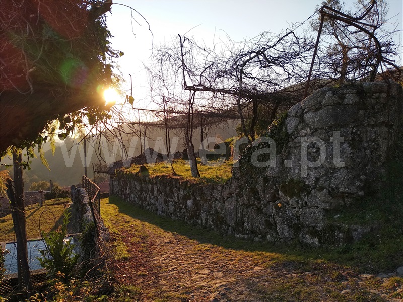 Terreno com ruina  Terras de Bouro, Cibões e Brufe - 978294 - 3