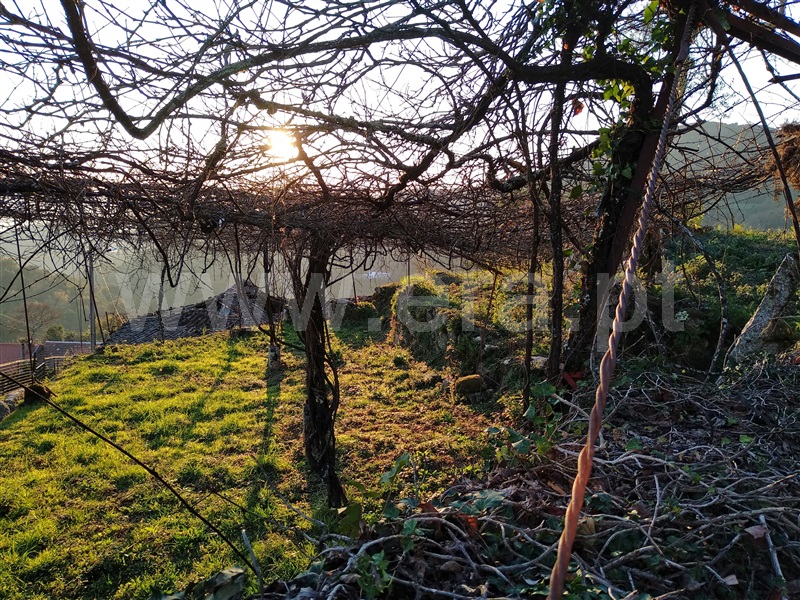 Terreno com ruina  Terras de Bouro, Cibões e Brufe - 978294 - 7