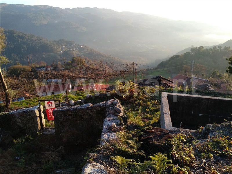 Terreno com ruina  Terras de Bouro, Cibões e Brufe - 978294 - 8