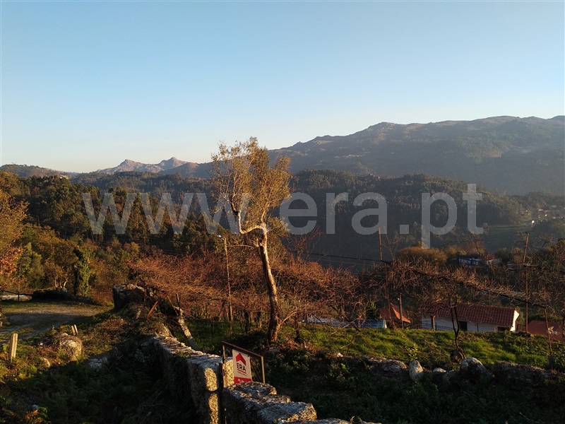 Terreno com ruina  Terras de Bouro, Cibões e Brufe - 978294 - 10