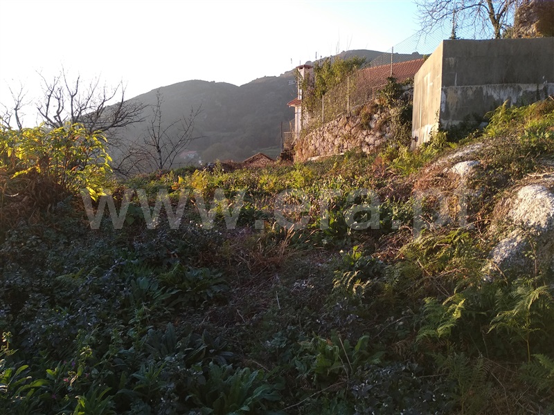 Terreno com ruina  Terras de Bouro, Cibões e Brufe - 978294 - 11
