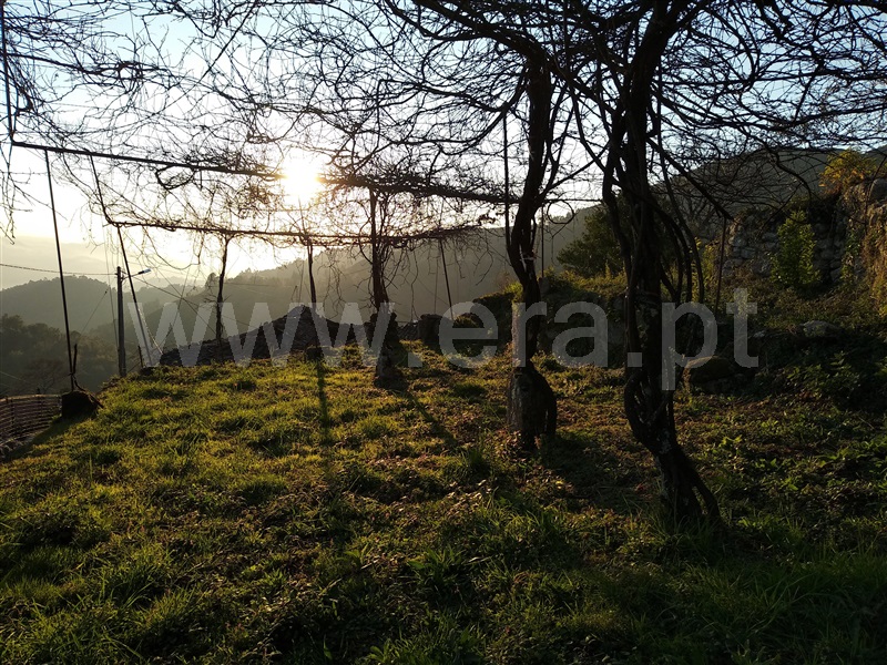 Terreno com ruina  Terras de Bouro, Cibões e Brufe - 978294 - 12