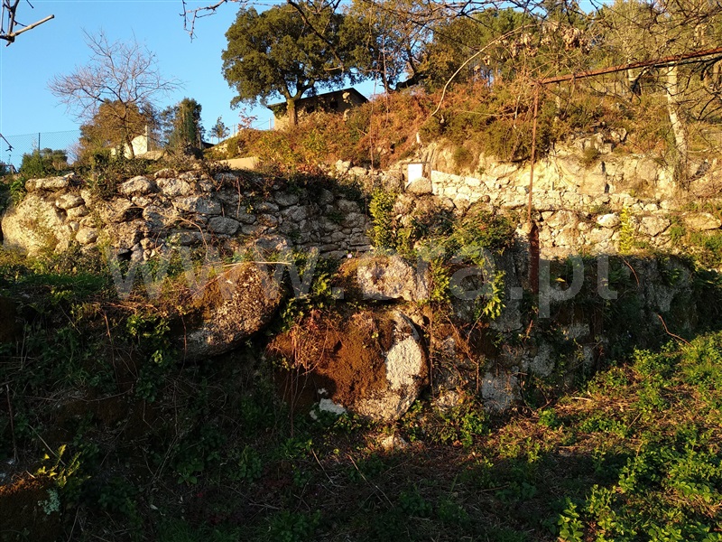 Terreno com ruina  Terras de Bouro, Cibões e Brufe - 978294 - 13