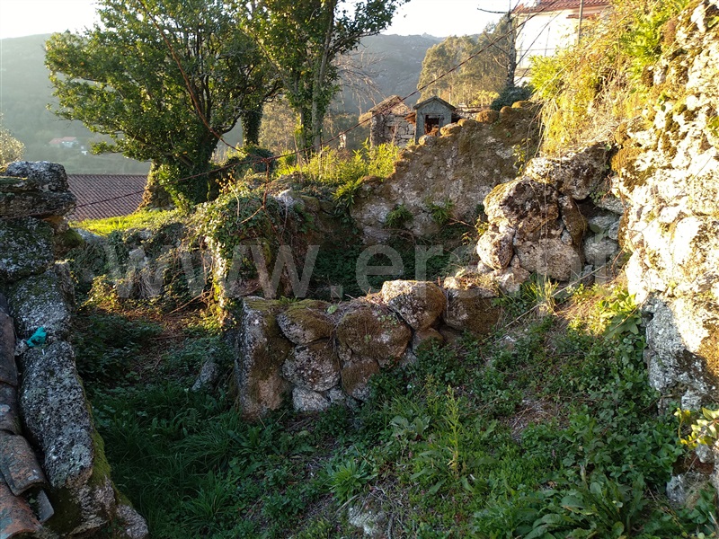 Terreno com ruina  Terras de Bouro, Cibões e Brufe - 978294 - 14