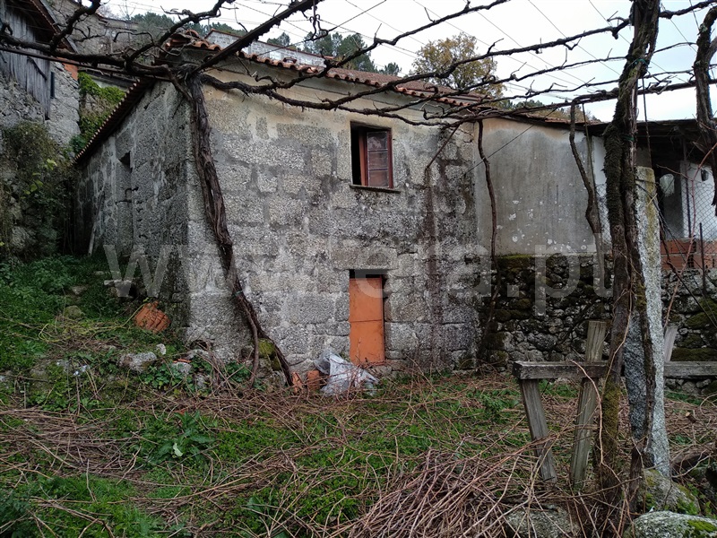 Terreno com ruina / Terras de Bouro, Cibões e Brufe