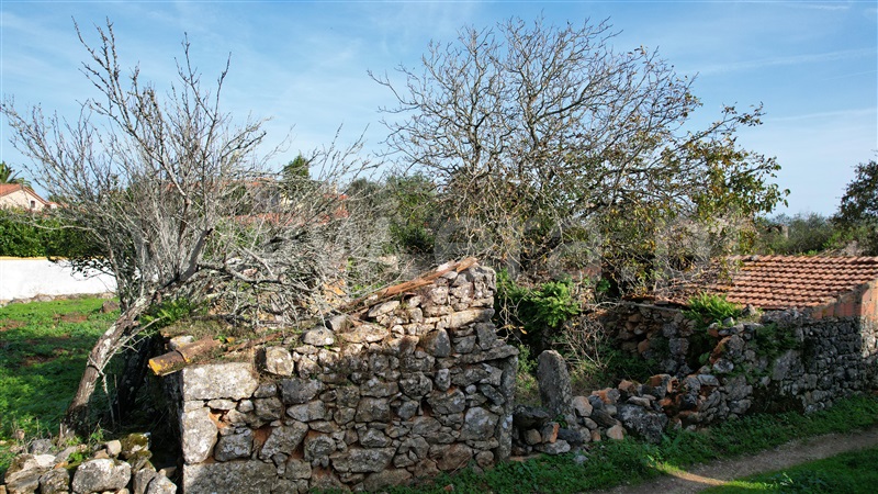 Terreno com ruina  Tomar, Além da Ribeira e Pedreira - 1446572 - 4