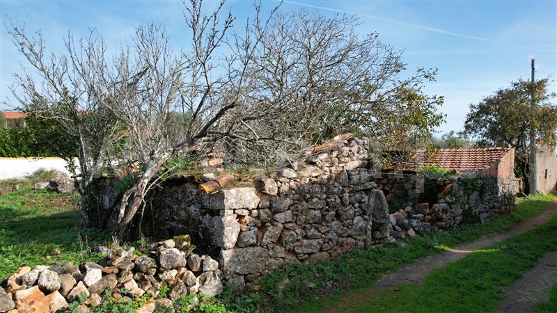 Terreno com ruina  Tomar, Além da Ribeira e Pedreira - 1446572 - 5
