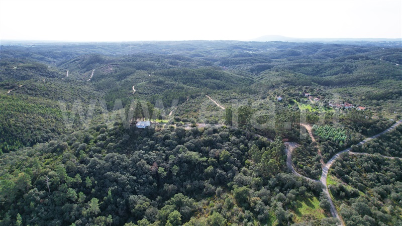 Terreno com ruina  Tomar, Além da Ribeira e Pedreira - 1446572 - 8