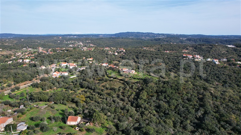 Terreno com ruina  Tomar, Além da Ribeira e Pedreira - 1446572 - 9