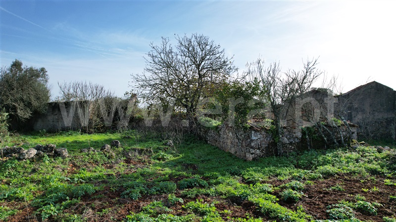Terreno com ruina  Tomar, Além da Ribeira e Pedreira - 1446572 - 11