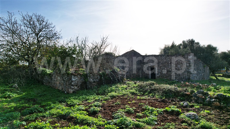 Terreno com ruina  Tomar, Além da Ribeira e Pedreira - 1446572 - 12