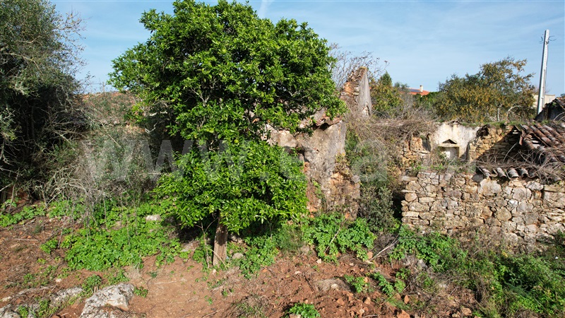 Terreno com ruina  Tomar, Além da Ribeira e Pedreira - 1446572 - 13