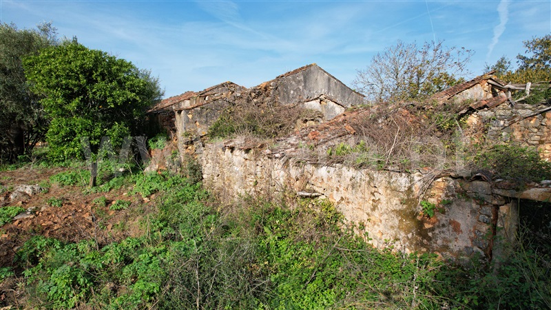 Terreno com ruina  Tomar, Além da Ribeira e Pedreira - 1446572 - 14