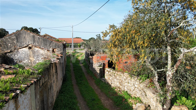 Terreno com ruina  Tomar, Além da Ribeira e Pedreira - 1446572 - 19