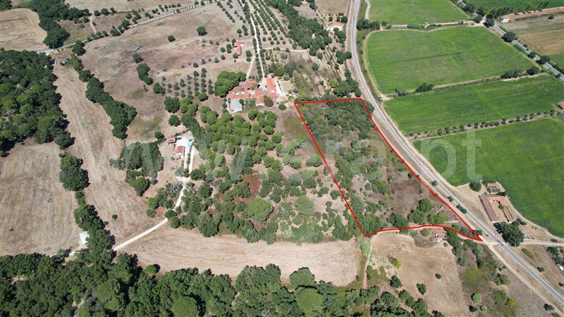 Terreno com ruina / Tomar, Asseiceira